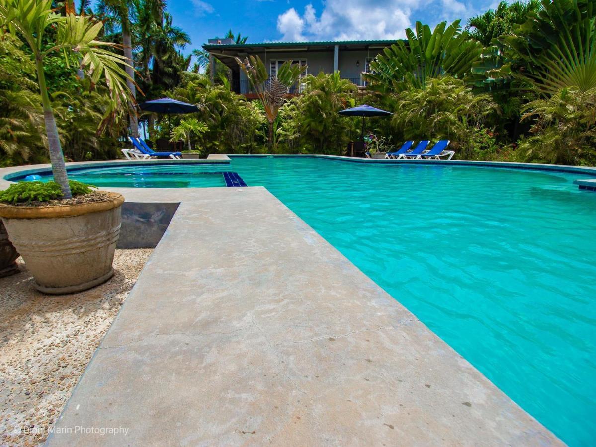 Almond Tree Hotel Resort Коросаль Екстер'єр фото